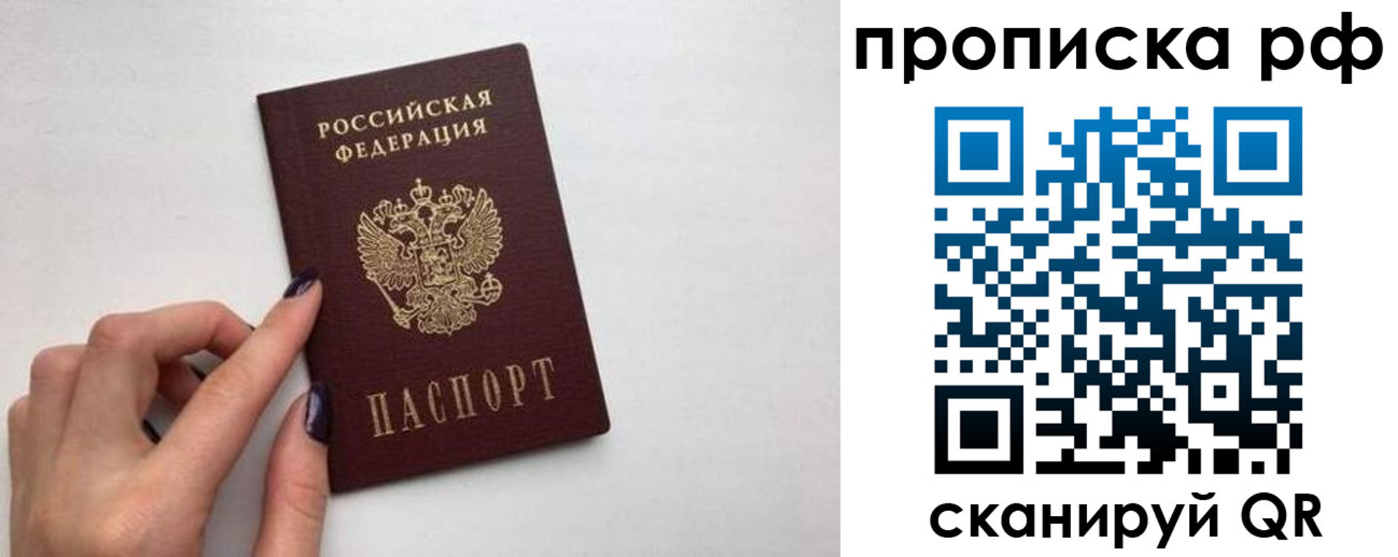 где прописаться в Коврове